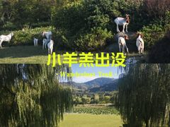 -南京市无想山景区