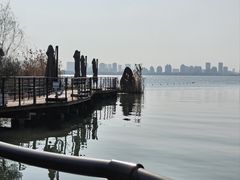 -金鸡湖桃花岛