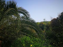 -咸宁万豪温泉谷度假区