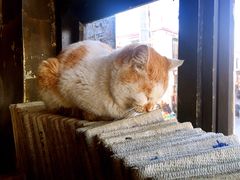 景观位-玛吉阿米·餐吧