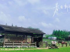 -田园东方蜜桃村的田野营地