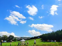 -迪茵湖田家舍生态农场