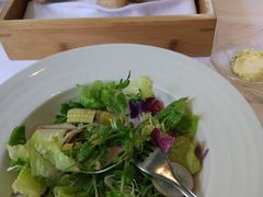 -蝶舍·MAISON PAPILLON