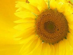 -高铁便当(长白街店)