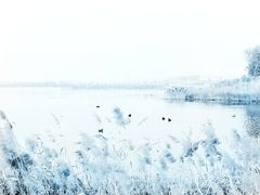 -卤阳湖国家湿地公园