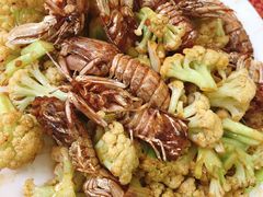 菜花炒皮皮虾-叶存利海鲜大馅饺子(东戴河止锚湾店)