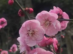 -汉水公园