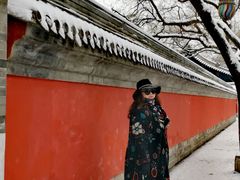 -北京国子监胡同