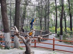-北京野生动物园