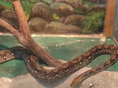 -上海大自然野生昆虫馆