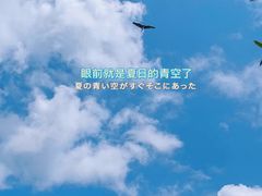 -青岩古镇