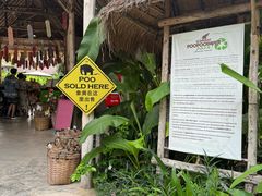 -大象粑粑造纸公园