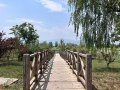 -野鸭湖国家湿地公园