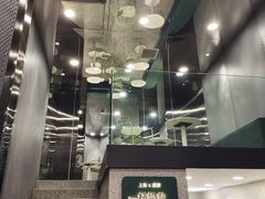 -茉酸奶(春熙路店)