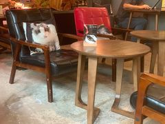 -咖法森林·咖啡  酒吧(天河店)