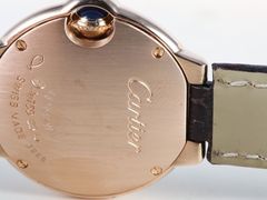 -双季花艺园艺市场(浦东店)