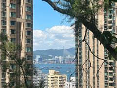 -香港大学