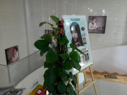 -比华利美容医院