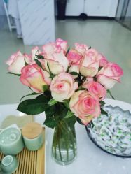 -SOR索尔祛痘·面部肌肤管理