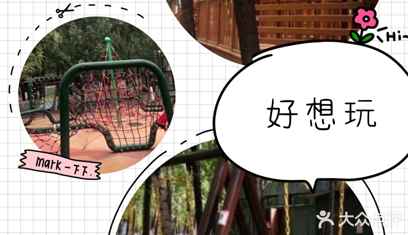 让我们一去看可爱的小动物