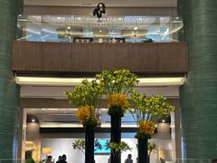 -成都凯宾斯基饭店