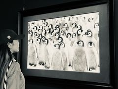 -罗红摄影艺术馆