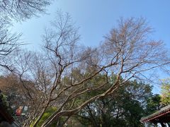 -乌山风景区