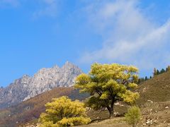 -芦芽山旅游度假区