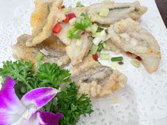 -长平肥姐白粥·海鲜打冷