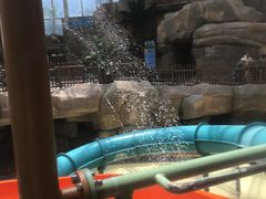 -杭州开元森泊度假乐园