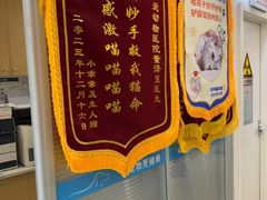 -美迦爱-牙专科·兔科·骨科诊疗中心(北苑店)