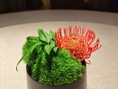 -三利音·浦之舟(滨江大道店)