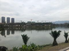 -枫香湖儿童公园