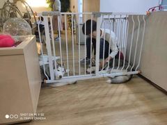 -Husky Go! 哈士奇体验馆·宠物咖啡厅狗咖