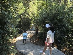 -敬亭山风景名胜区