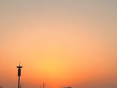 -黄四老鱼馆(尚东国际店)