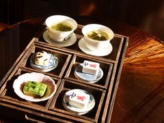 -成都保利公园皇冠假日酒店(熊猫基地店)