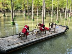 -泗洪洪泽湖湿地景区