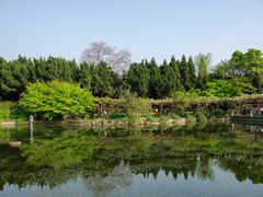 -嘉定紫藤园