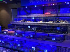 -青蓬蒸汽海鲜·深圳老字号·团建聚会(壹方城店)