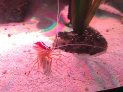 -沈阳海洋探索中心