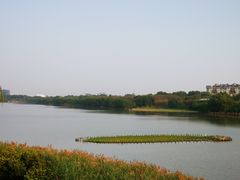 -华侨城湿地公园