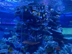 -左海海底世界