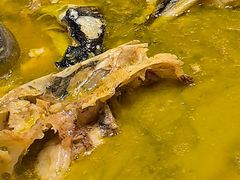 -隆聚·时令海鲜(洪兴店)