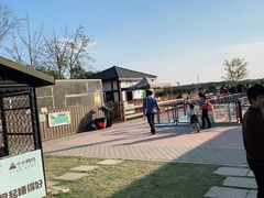 -太阳岛度假酒店