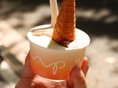 -Dip in Gelato(富民路店)