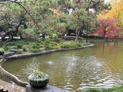 -上海瑞金洲际酒店