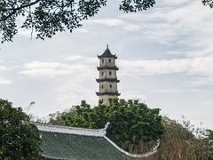 -江心屿景区