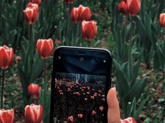 -长春公园(普阳街道)