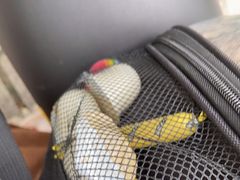 -佳雯宠物医院(四明中路分院)